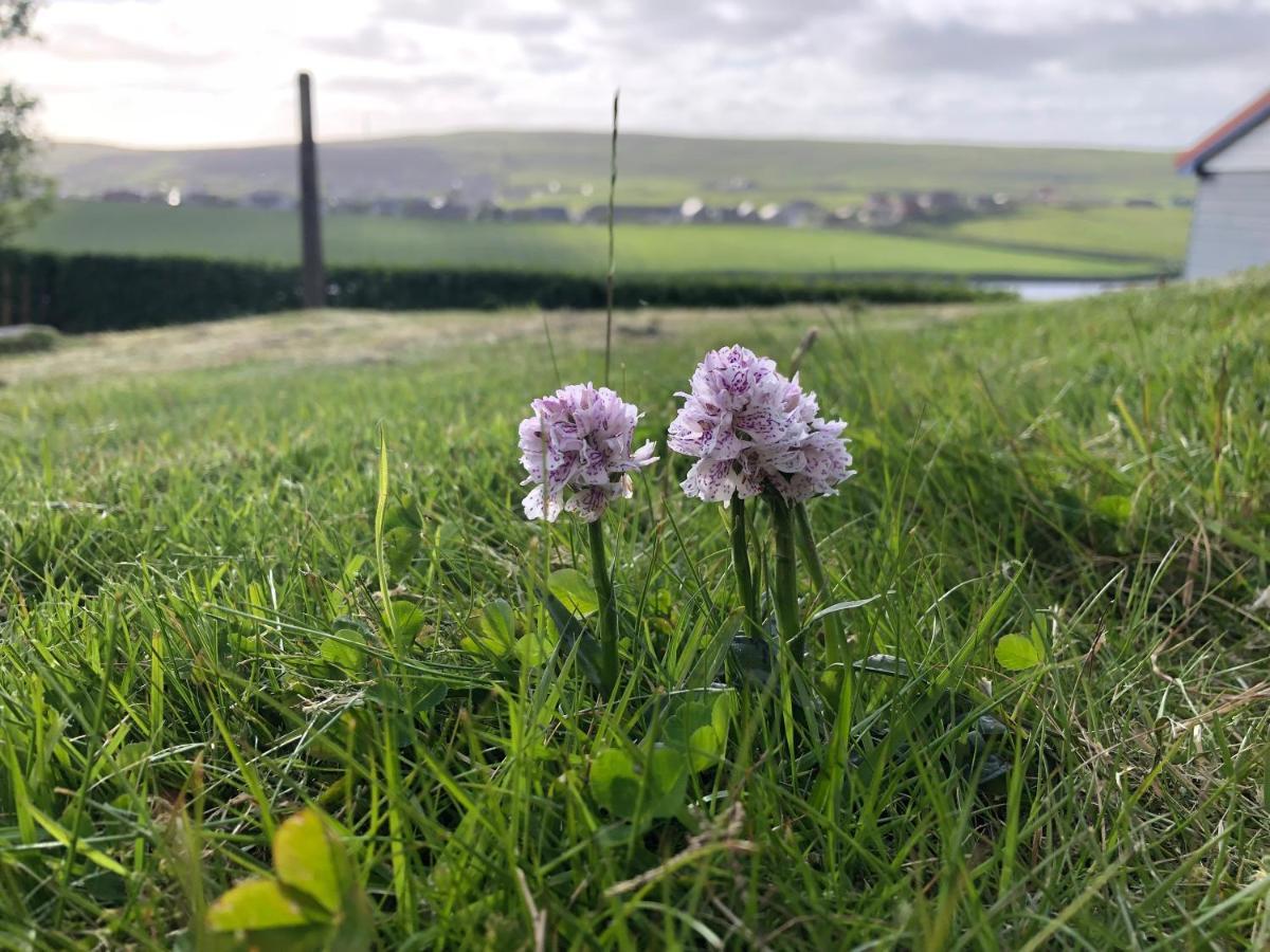 Easterhoull Chalets Scalloway Екстериор снимка